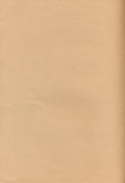 Page 27 of Yamakoshou