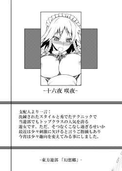 Page 13 of Touhou Project no Hon Soushuuhen