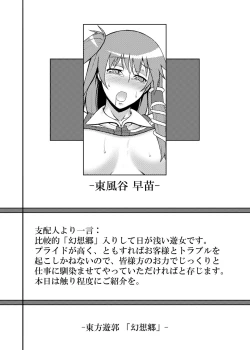 Page 31 of Touhou Project no Hon Soushuuhen
