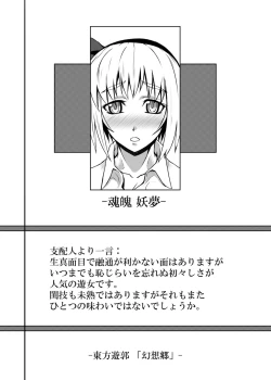 Page 7 of Touhou Project no Hon Soushuuhen