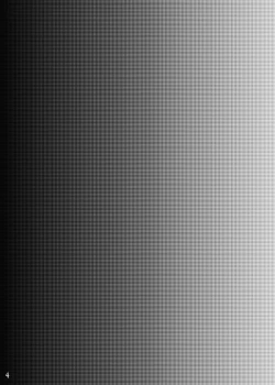 Page 4 of SokuHame Bitchinpo