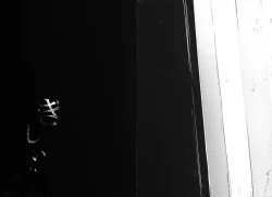 Page 38 of Shiragasane