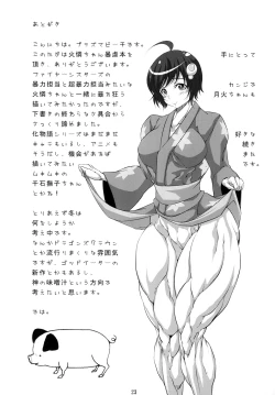 Page 22 of Hihou Caligulation