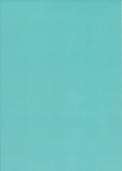 Page 21 of Haru no Samishi ga Rin-chan