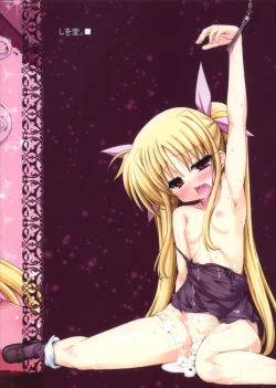 Page 2 of 90 Days Later Ver1.00