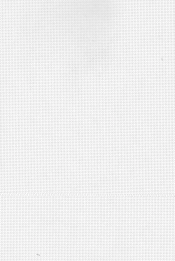 Page 4 of Mikoto to. 5