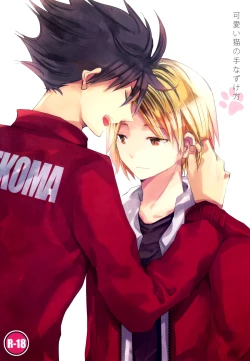 Page 1 of Kawaii Neko no Tenazukekata | How to Tame a Cute Cat