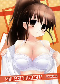 Download SPINACIA OLERACEA