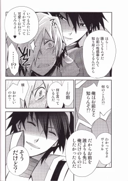 Page 11 of Zoku Kiseijijitsu