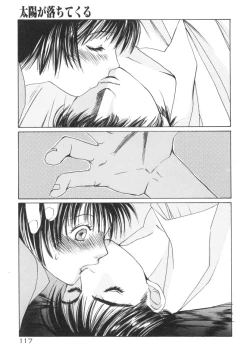 Page 117 of Taiyou ga Ochite Kuru Vol.2