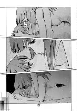 Page 17 of Samplitude ANK-L2