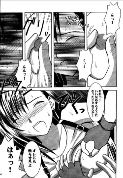 Page 20 of Kajitsu Soushuuhen