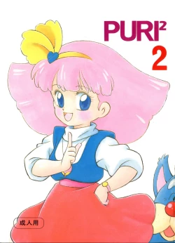 Page 2 of PURI² 2