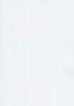 Page 2 of Marcille Meshi