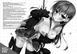 Page 17 of szyt_nnsr ?