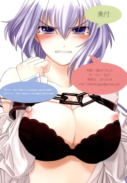 Page 17 of CHRIS-REC