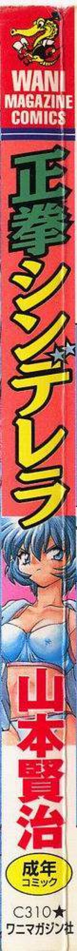 Page 2 of Seiken Cinderella