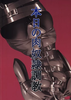 Page 18 of Honjitsu no Nikudorei Choukyou