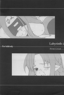 Download Labyrinth-β