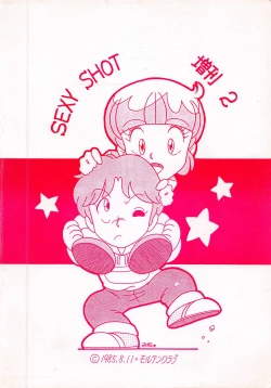 Page 112 of SEXY SHOT Zoukan 2