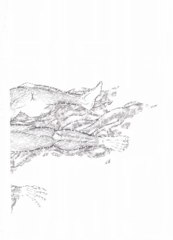 Page 295 of ShiroganeHana The Silver Flower vol.3