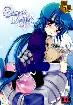 Download Snow Rabbit