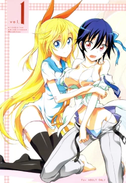 Page 1 of Nisenisekoi