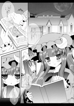 Page 6 of Star Setoran Touhou Sairokushuu2