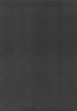 Page 3 of (C75) [Hotahotadou] -Kanwa Kouhime- (Sengoku Rance)