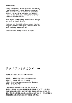 Page 17 of Technobreak Company