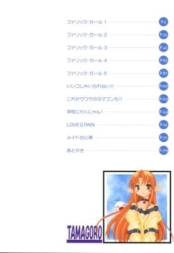 Page 3 of Ii Ko ja Irarenai!!