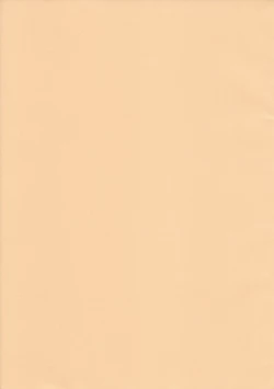 Page 2 of Fukugyo no Susume