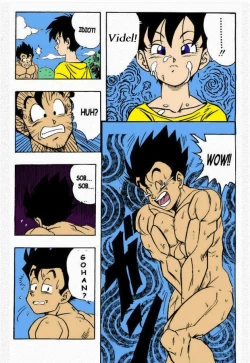 Page 14 of Dragon Ball H