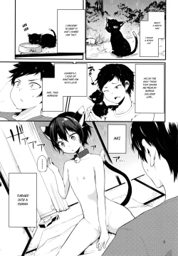 Page 4 of Nora Neko to Hakuchuumu