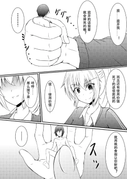 Page 16 of Neon's Report - Fukugougata Shukushou Gas no Kouka Sokutei | 复合型缩小瓦斯测定