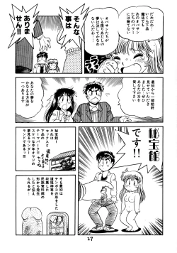 Page 29 of Gehin na Mahoutsukai Ketsumedo Anal