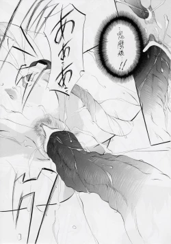 Page 56 of Busou Megami Archives Series 4 "Ai & Mai GaidenAi"