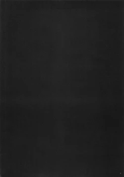 Page 3 of Southern Cross!