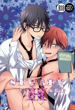 Page 1 of STURDY HARD