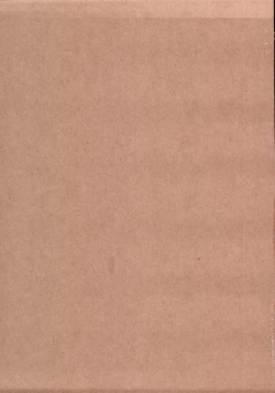 Page 70 of Setsunateki Mousou Shoujo