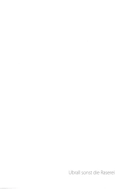 Page 3 of Ubrall sonst die Raserei