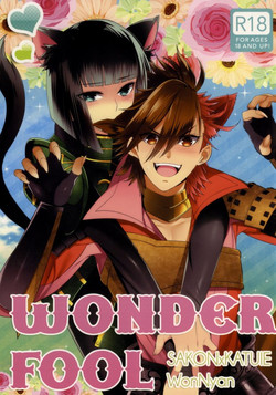 Download WonderFool