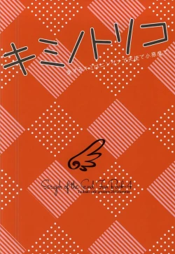 Page 11 of Kiminotoriko