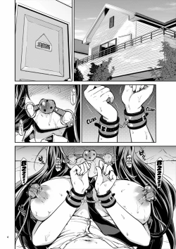 Page 3 of Chiichan Development Diary 4