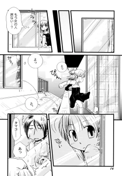 Page 22 of Peach Syrup