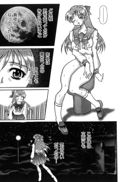 Page 31 of Millennium New