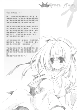 Page 4 of ANGEL ARMS