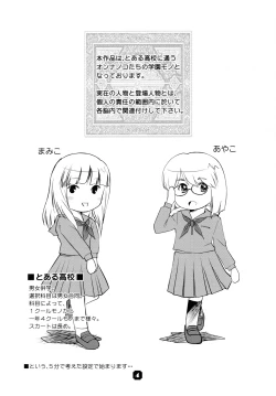 Page 4 of Samplitude;