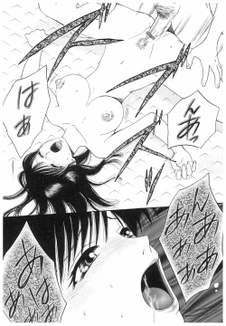 Page 12 of Eidopatto