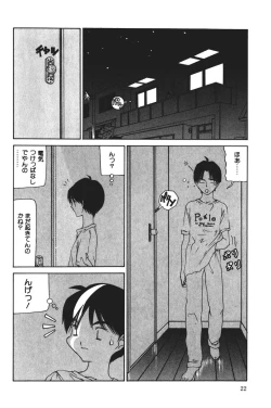 Page 22 of MOMO no Tane